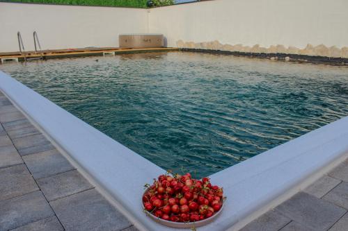 Villa Bali 2 في Stolac: وعاء من الطماطم علي حافة حمام السباحة
