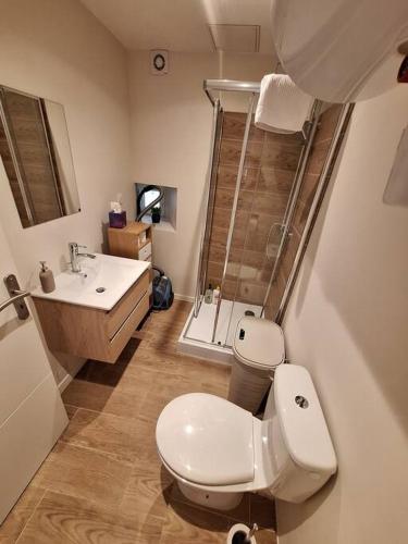 une salle de bain avec toilettes, lavabo et douche dans l'établissement Appartement centre-ville avec cour privative, à Malaucène