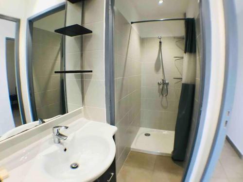 une salle de bain avec un lavabo et une douche dans l'établissement Casa Bartoli, T2 Entre Mer et Montagne, à Isolaccio-di-Fiumorbo