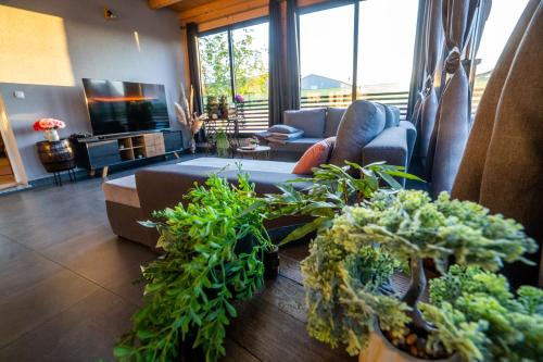 a living room filled with lots of potted plants at Palomino house in Sinj