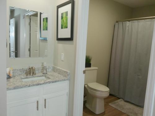 uma casa de banho com um lavatório, um WC e um chuveiro em Fayetteville Studio 415 em Spring Lake