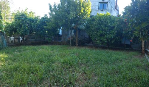Κήπος έξω από το Kitharida garden