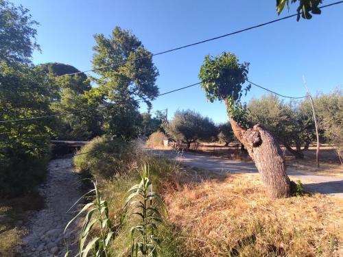 Φυσικό τοπίο κοντά σε αυτό το διαμέρισμα