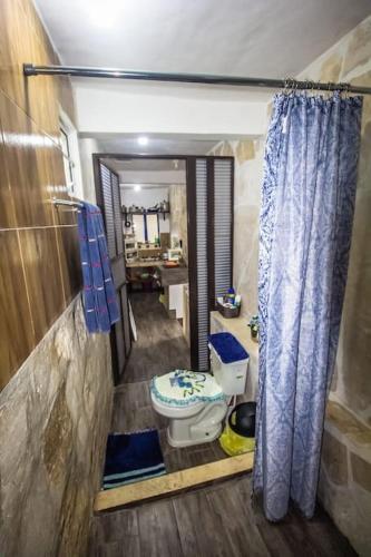 a bathroom with a toilet and a blue shower curtain at Tiny house Comulco con aire acondicionado. in Jalcomulco