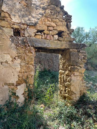 Φωτογραφία από το άλμπουμ του Ca l'Oreneta σε El Pla de Manlleu