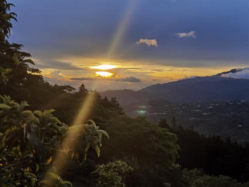 a view of the sunset from a mountain with trees at Casa Roble Cabaña romántica en la montaña de Costa Rica in San Cristóbal Sur