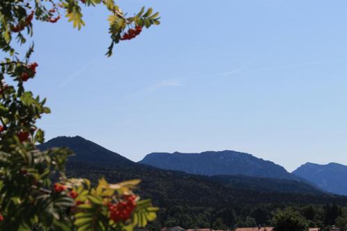 a view of the mountains from a tree at Hotel Garni Edelweiß in Siegsdorf