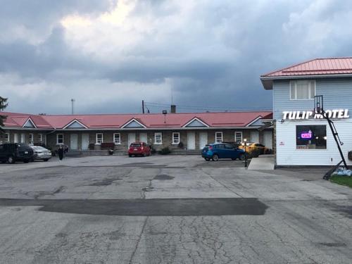 a parking lot with cars parked in front of a building at Tulip Motel in Woodstock