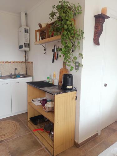a kitchen with a counter with a plant on the wall at Cabañas Toto Península Beach in Totoralillo