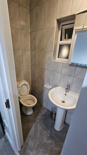 łazienka z toaletą i umywalką w obiekcie Luxury Leytonstone Studio flat w Londynie