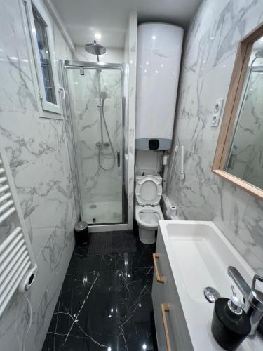 a bathroom with a shower and a toilet and a sink at Moderne et lumineux in Asnières-sur-Seine