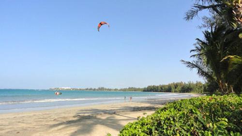 a kite flying over a beach with people in the water at Daria Beachfront community steps 2 pool- Generator in Sabana