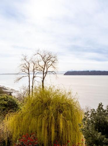Φωτογραφία από το άλμπουμ του Panoramic View Home σε Mukilteo