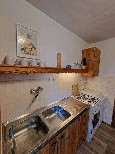Virtuvė arba virtuvėlė apgyvendinimo įstaigoje RANGE- Landhaus mit Panoramablick - 2 Apartments - 12 Personen