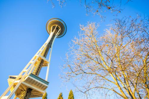 a view of the space needle and a tree at Belltown Perch, explore like a local 99 Walkscore in Seattle