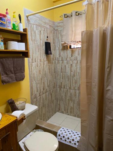 a small bathroom with a shower and a toilet at City Garden 2 Apartment in Belize City