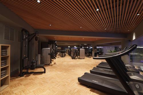 Γυμναστήριο ή/και όργανα γυμναστικής στο Crowne Plaza Bucharest by IHG