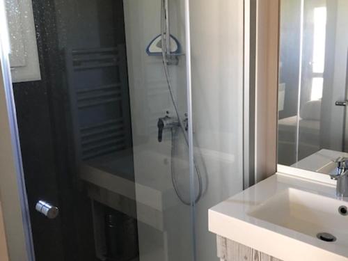 une salle de bain avec douche et lavabo dans l'établissement Chalet 2 chambres au calme avec terrasse, piscine chauffée et accès lac en Vendée - FR-1-783-26, à La Chapelle-Hermier