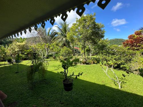 Elle offre une vue sur un jardin avec des arbres et de la pelouse. dans l'établissement Chambre d'hôtes chez Anouk, à Tevaitoa