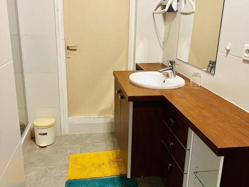a bathroom with a sink and a mirror and a shower at Charmant T2 au calme avec terrasse, parking et accès internet à Cambo-les-Bains - FR-1-495-11 in Cambo-les-Bains