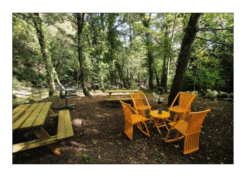 a group of chairs and a picnic table in the woods at Ferme du Pic d'Allier in Saint Martin sur Lavezon