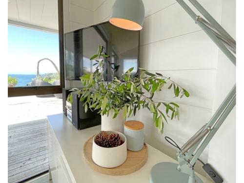 two plants sitting on a counter in a room at Sea View Estate - Waiheke Escapes in Onetangi