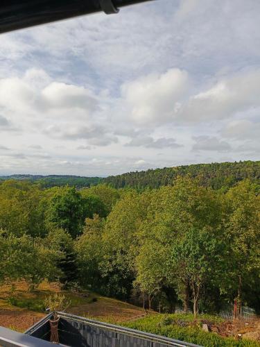 a view of a forest of trees from a balcony at Noclegi u Ewusi 2 in Januszowice