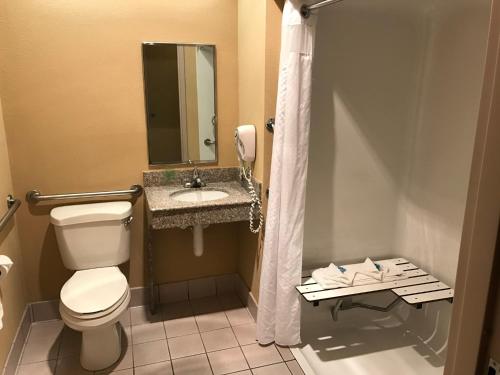 a bathroom with a toilet and a sink at Holiday Inn Express Metropolis by IHG in Metropolis