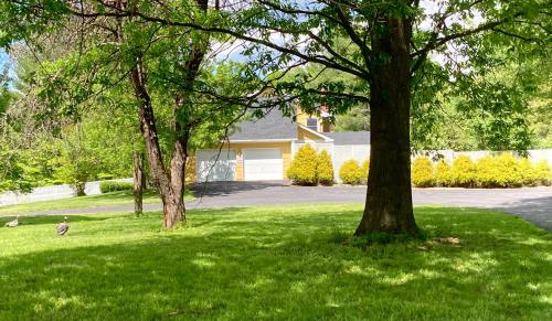 un cortile con due alberi e una casa di Purcellville Home a Purcellville
