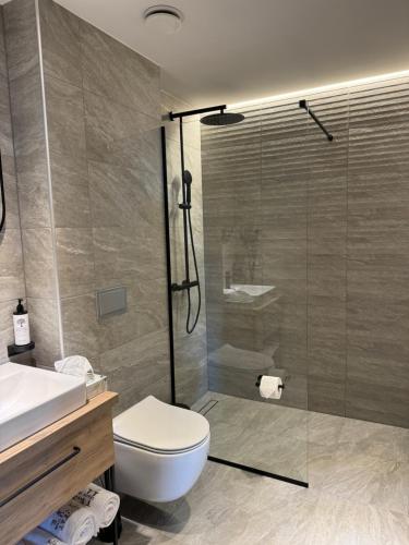 a bathroom with a shower and a toilet and a sink at Molėtai Hotel in Molėtai