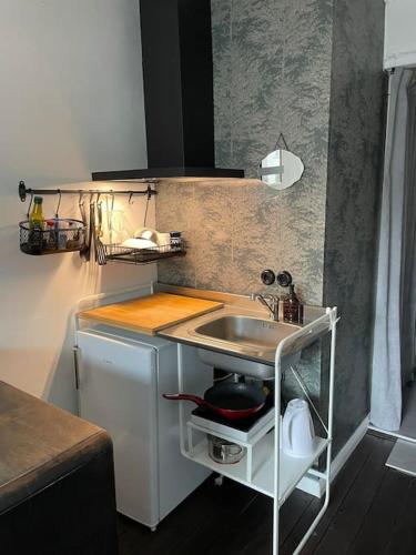 mała kuchnia ze zlewem i blatem w obiekcie Waxwing Chamber w Tallinnie