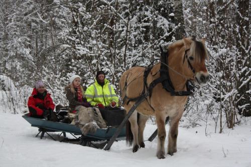 a group of people riding on a horse drawn sled at Haga gård och Stall in Herräng