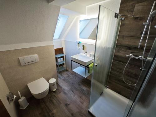 uma casa de banho com um chuveiro, um WC e um lavatório. em Café-Pension Feldbergblick em Titisee-Neustadt