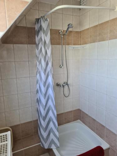 ザラカロシュにあるBalázs Apartmanのバスルーム(シャワー、ストライプのシャワーカーテン付)が備わります。