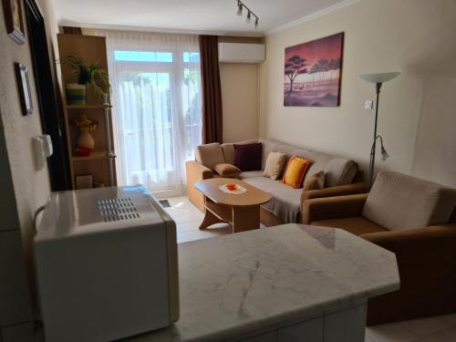 a living room with a couch and a table at Balázs Apartman in Zalakaros