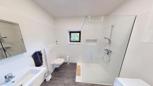 een badkamer met een douche, een toilet en een wastafel bij Ferienwohnung Burgau in Burgau