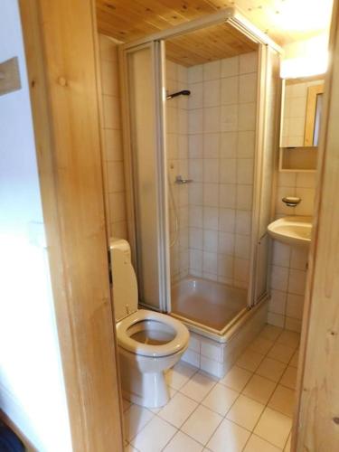 a bathroom with a toilet and a shower at Chalet Schneeflöckli in Bellwald
