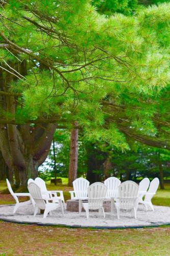 a group of white chairs sitting under a tree at The best Vacation Home in Scotrun