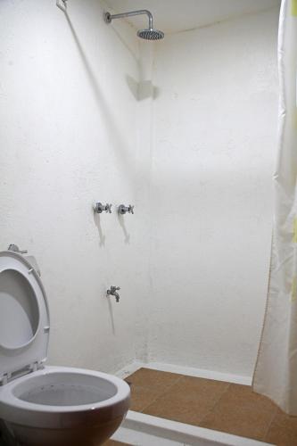 a bathroom with a toilet and a shower at Lazy Dog Bed & Breakfast in Boracay