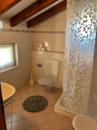 La salle de bains est pourvue de toilettes et d'un rideau de douche. dans l'établissement La Preferita, à Magadino