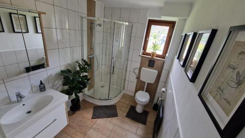 ブルック・アン・デア・グロースグロックナーシュトラーセにあるAlp Hausのバスルーム(シャワー、トイレ、シンク付)