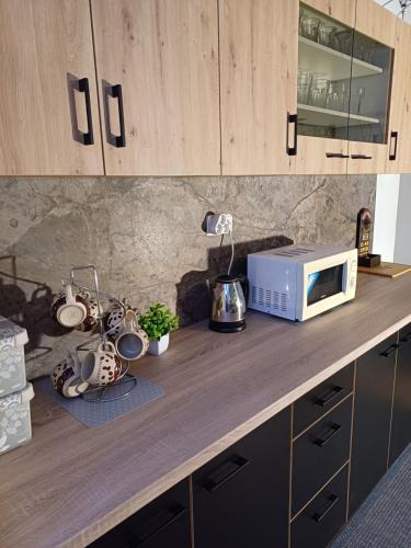 a counter with a microwave on a wooden counter top at Penzion Romance in Vyšší Brod