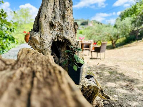 Φυσικό τοπίο κοντά σε αυτή η παραθεριστική κατοικία