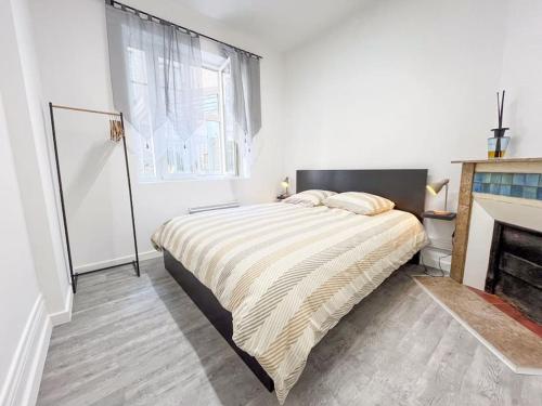 une chambre avec un lit et une cheminée dans l'établissement Le 3 cailloux / 2 Chambre *Hyper centre*, à Amiens