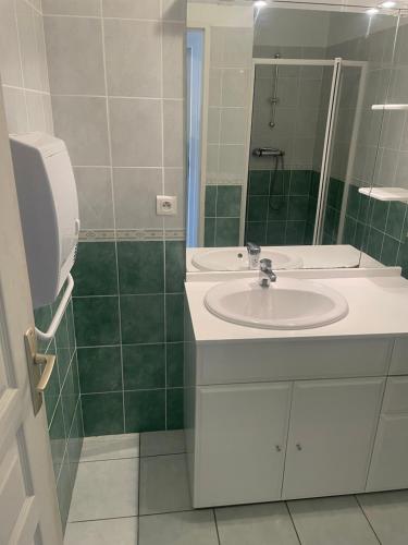 une salle de bain avec un lavabo et un miroir dans l'établissement Studios Les Courrèges, à Vézac