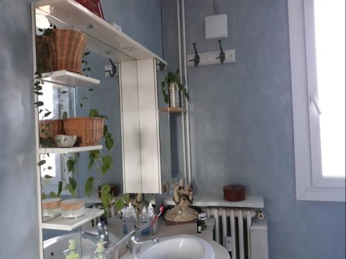 une salle de bain avec un lavabo et un miroir dans l'établissement appartement Velotte, à Besançon