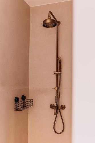 a shower with a shower head in a bathroom at Dzikowiejsko in Bardo