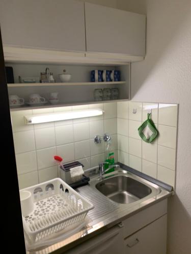 Panoramahaus App 4086 في باد رايشنهال: مطبخ مع حوض وحامل لتجفيف الأطباق