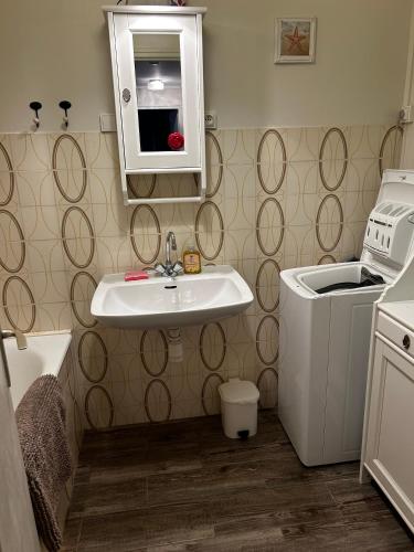 une salle de bain avec un lavabo et une machine à laver dans l'établissement Appartement La Maison d Ulysse, à Saint-Hilaire-de-Riez