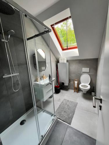 a bathroom with a shower and a sink and a toilet at JÁNOŠÍK Apartmány in Terchová